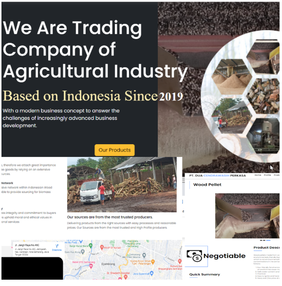 Website PT Duacendrawasih Jasa pembuatan website webdev semarang