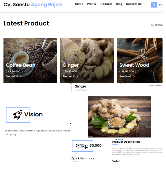 Web Perusahaan Export-import Jasa pembuatan website webdev semarang